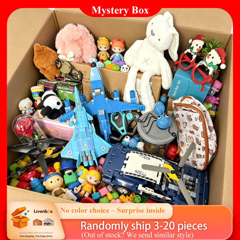 Kids Toys Box - Building Block Mystery Box, Random Mini