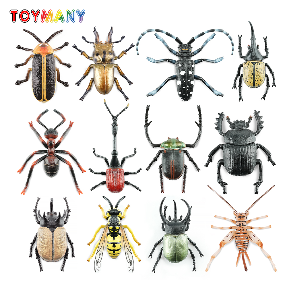 Toymany Simulation Insect & Be – Kids Toys Under $5 Bewertung und Preis