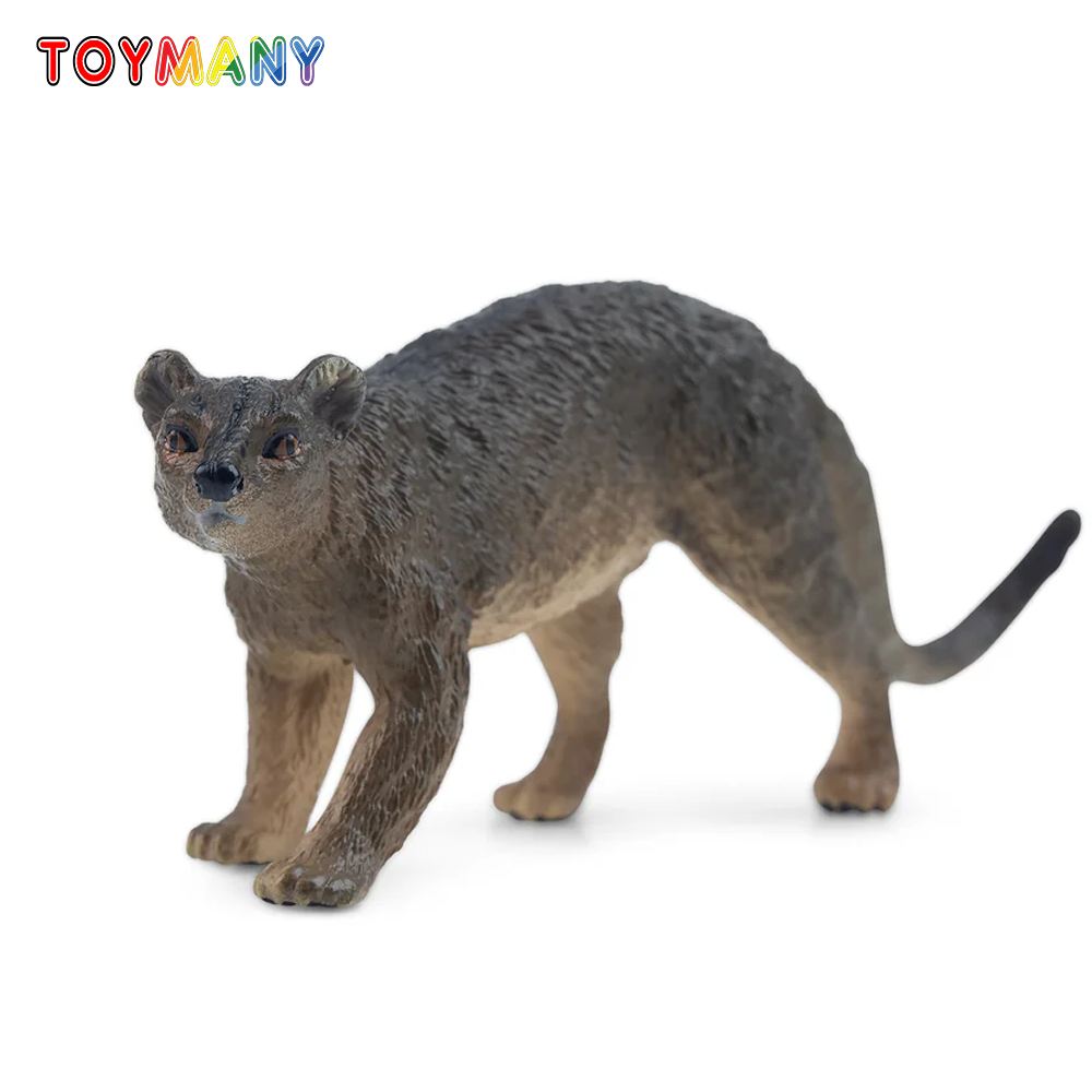 Toymany Simulation Fossa Madag – Kids Toys Under $5 Bewertung und Preis