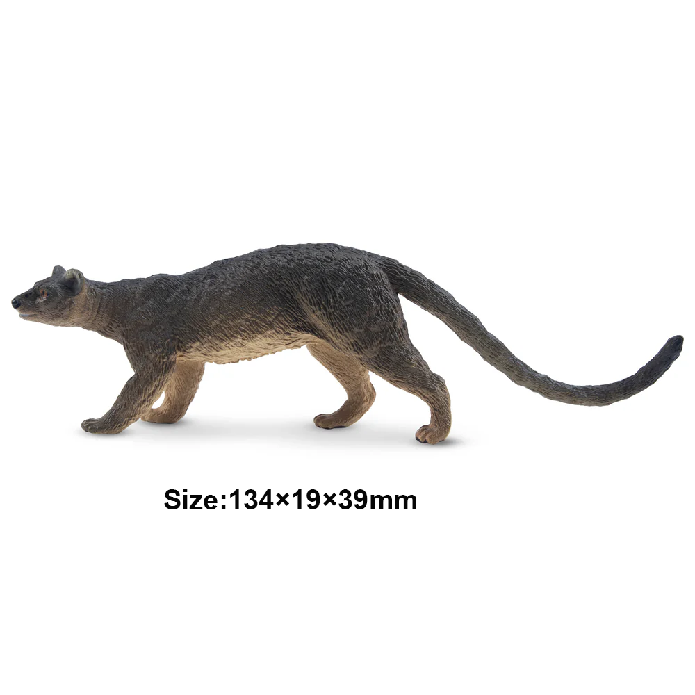 Toymany Simulation Fossa Madag – Kids Toys Under $5 Bewertung und Preis
