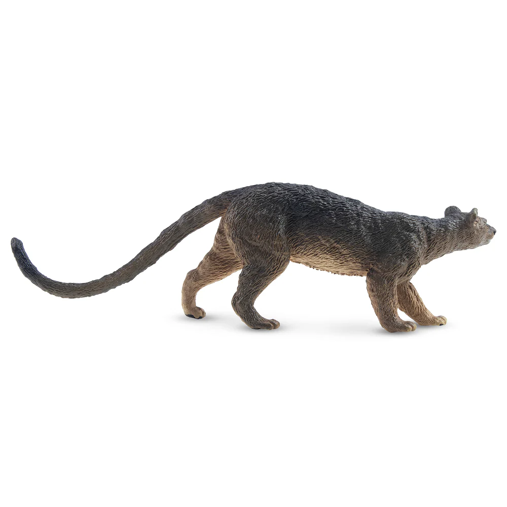 Toymany Simulation Fossa Madag – Kids Toys Under $5 Bewertung und Preis