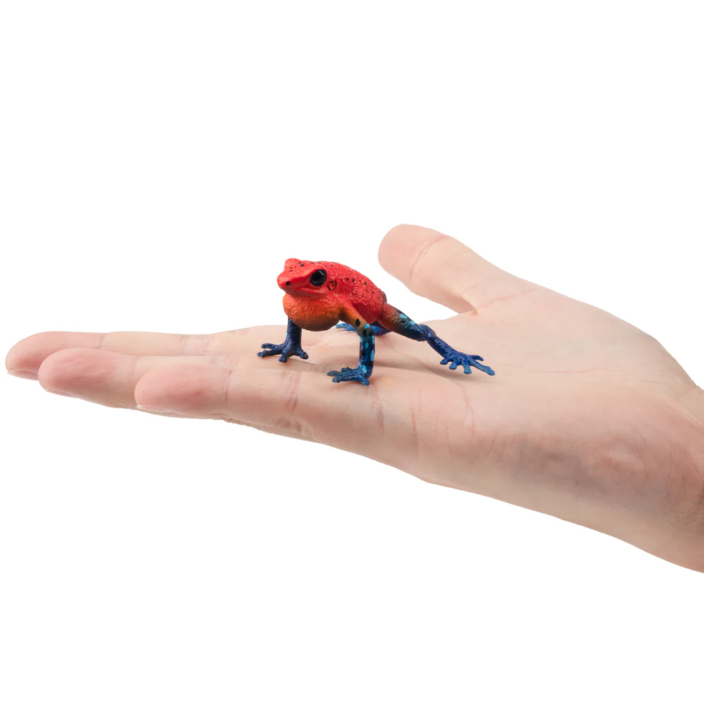 Toymany Simulation Strawberry  – Kids Toys Under $5 Bewertung und Preis