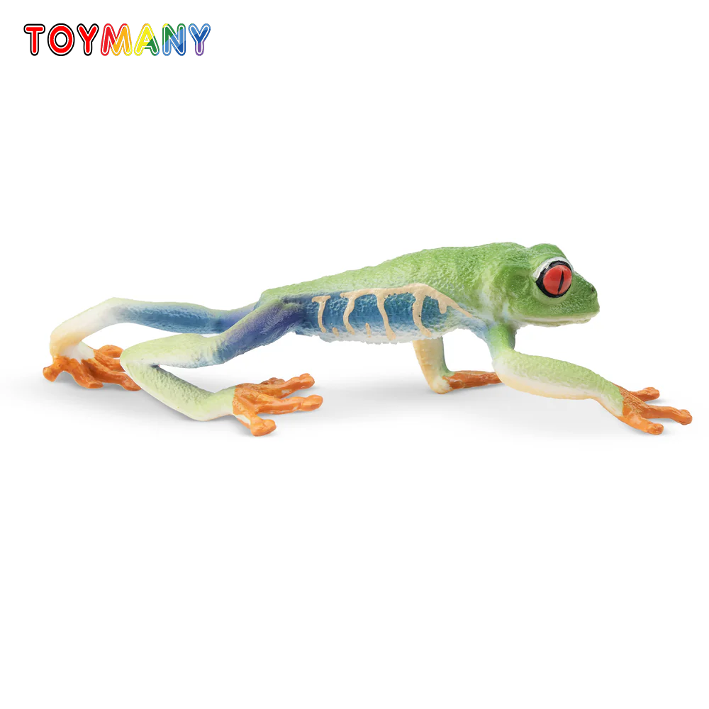 Toymany Simulation Red-eyed Tr – Kids Toys Under $5 Bewertung und Preis
