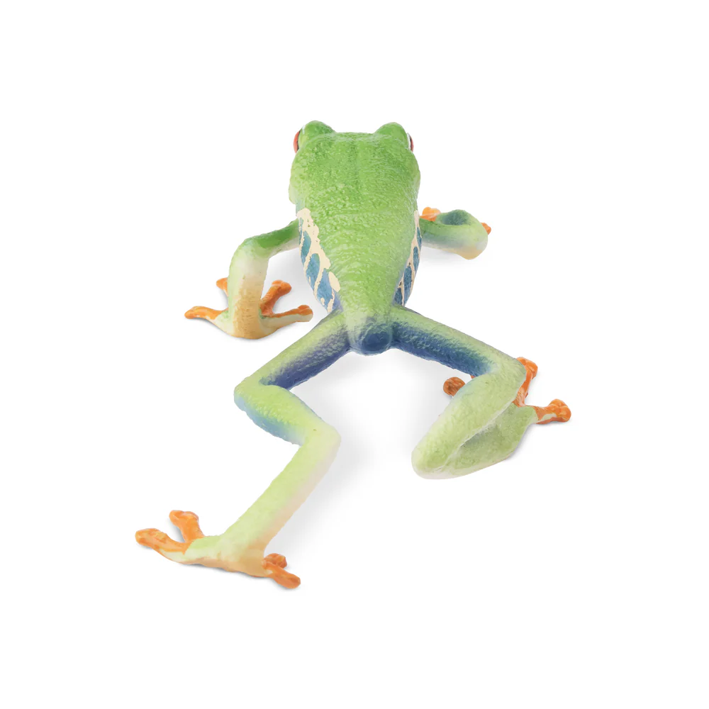 Toymany Simulation Red-eyed Tr – Kids Toys Under $5 Bewertung und Preis