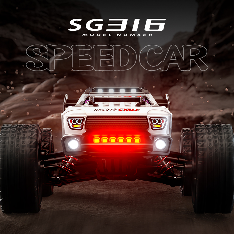 ZLL SG316 MAX 1:16 High Speed  – Kids Toys Delivery Today Bewertung und Preis