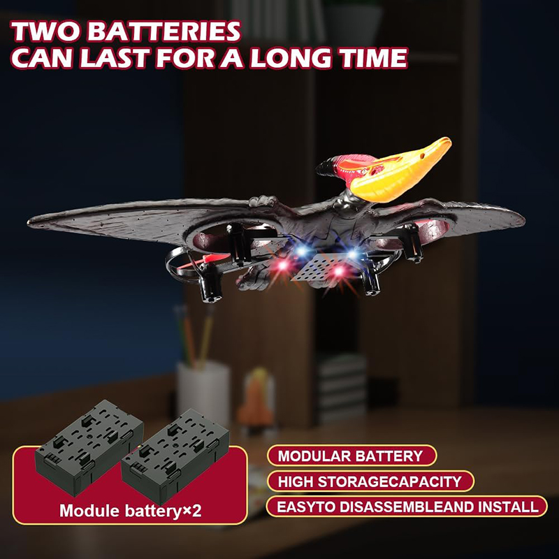 RC Plane Pterosaur 2.4G 6-Axis – Kids Toys Under $10 Bewertung und Preis