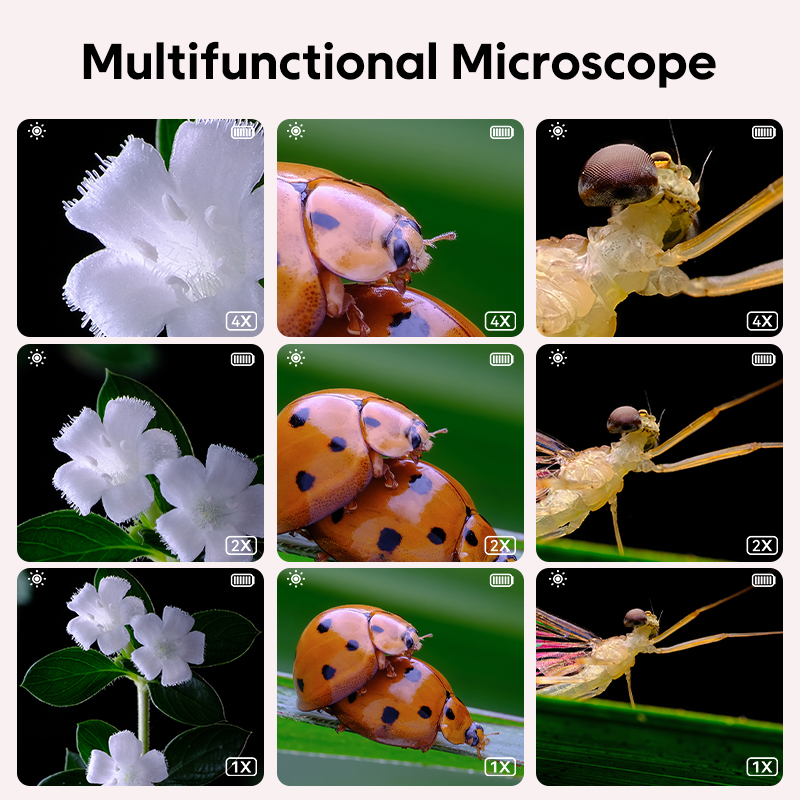 Mini Kids Optical Microscope W – Kids Toys Videos Bewertung und Preis