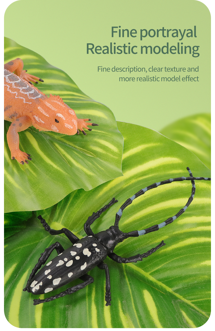 Educational Simulation Insect  – Kids Toys Brands Bewertung und Preis